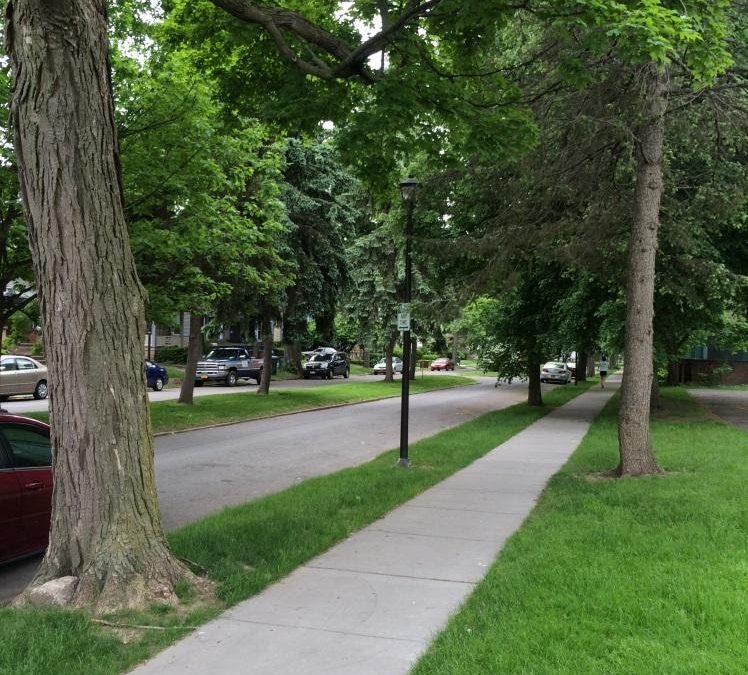 City of Rochester Hazardous  Sidewalk Replacement Program