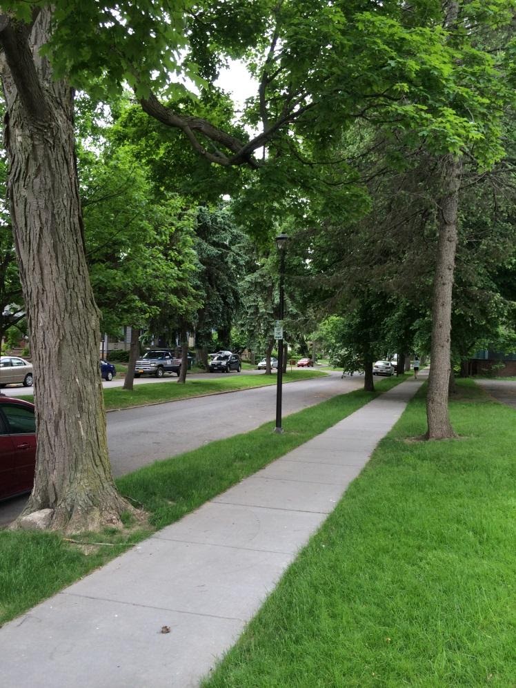 New sidewalk installed along Sibley Place